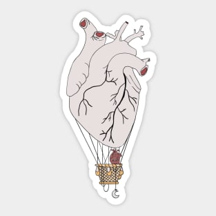 Anatomy heart design Sticker